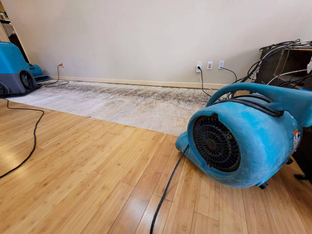 Professional Burst Pipe Water Damage technician working in Campo, CA